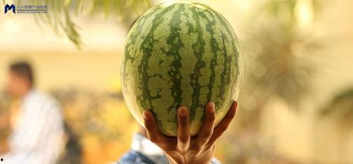 2021年娱乐圈吃瓜,瓜田李下，明星们的年度风云录